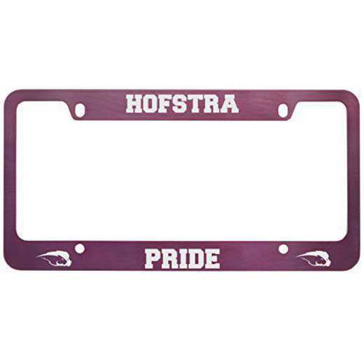 SM-31-PNK-HOFSTRA-1-LRG: LXG SM/31 CAR FRAME PINK, Hofstra